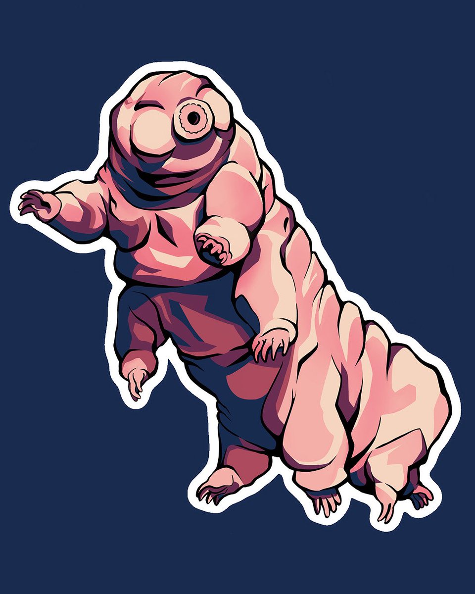 [🎨#sciart ] Les cartes sur les cellules sont bientôt finies mais entre-temps, j’ai refait une illustration en #sticker 🥰.

#science #scicomm #stickers #tardigrade