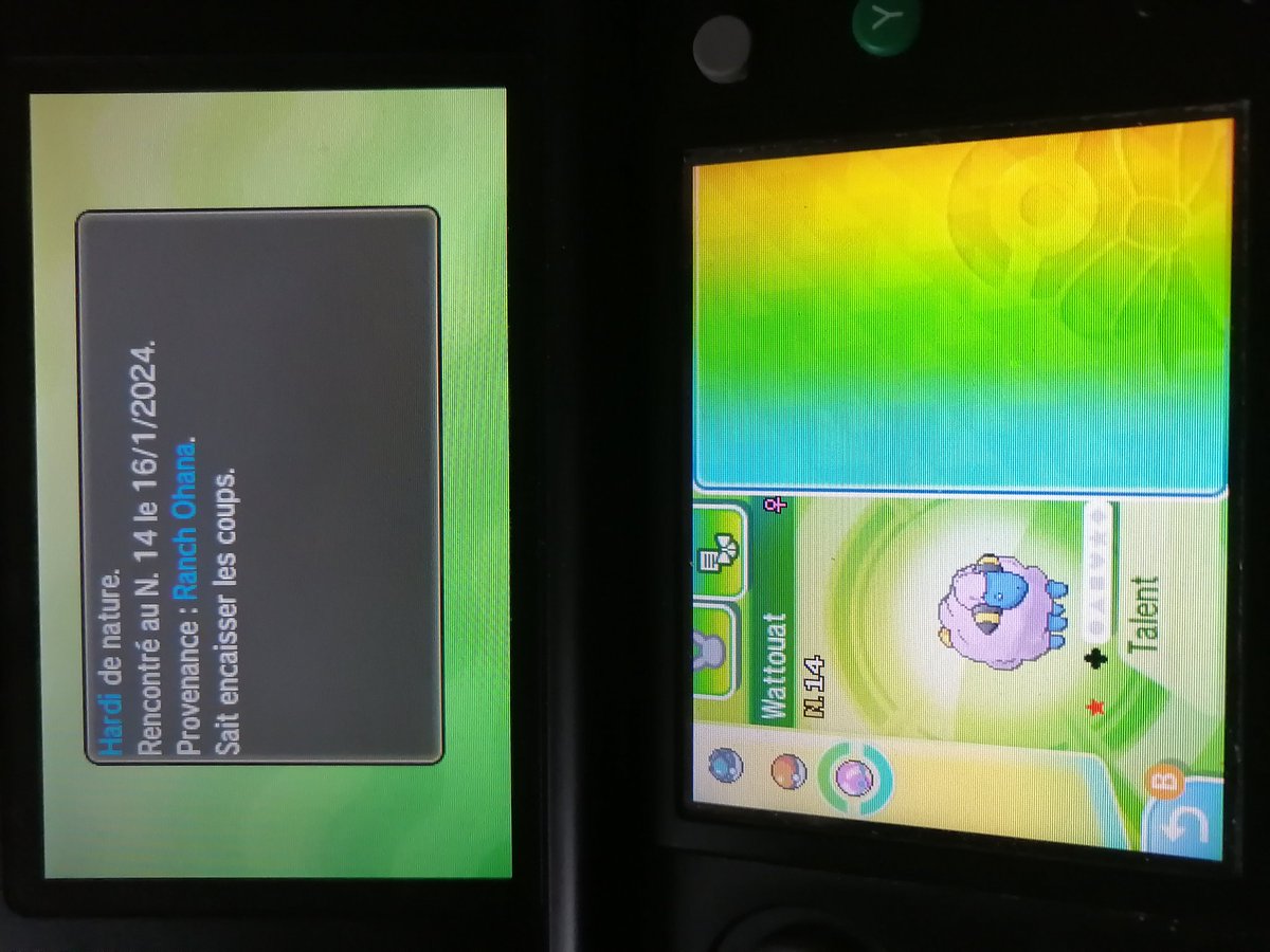 La NRT continue avec la première phase qui se termine par un wattouat Shiny en 3321 rencontres.