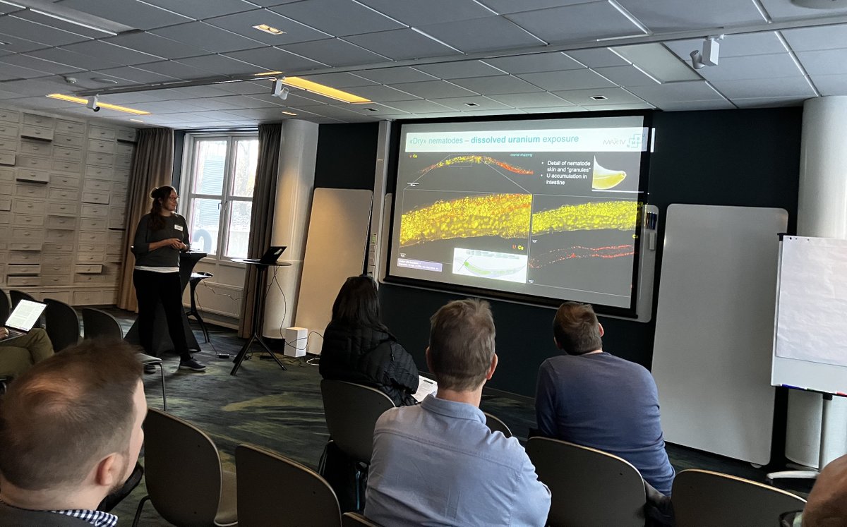 MAXIVLaboratory's tweet photo. What happens to organisms exposed to #uranium in nature? Lisa Rossbach @UniNMBU describes work w uranium elemental #mapping of nematode c. elegans from U-nanoparticle exposure + measurements at #NanoMAX beamline. #MAXIV35UserMeeting #toxicology #xrays #physics https://t.co/rClJBfUKs1