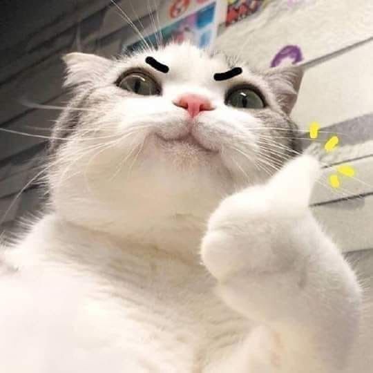 HI GUYSSS ! i've been ia lately since bz sa finals ㅠㅠ anyways, i survived !!