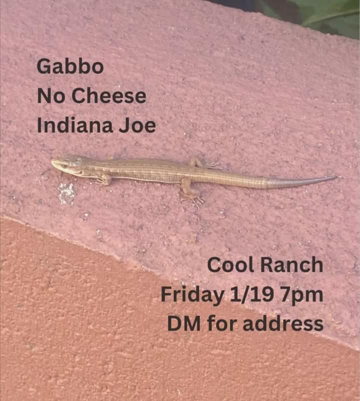 Tetris Album Reviews tweet media