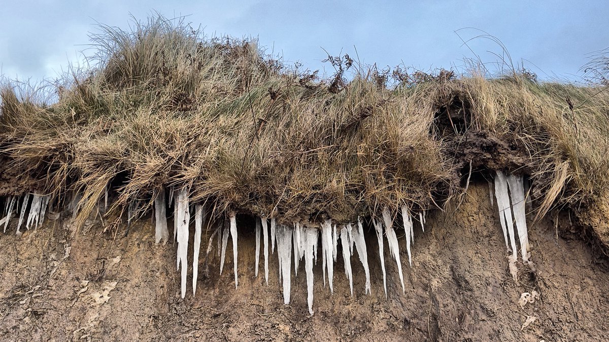 Quite chilly on the beach today #Northumberland #january