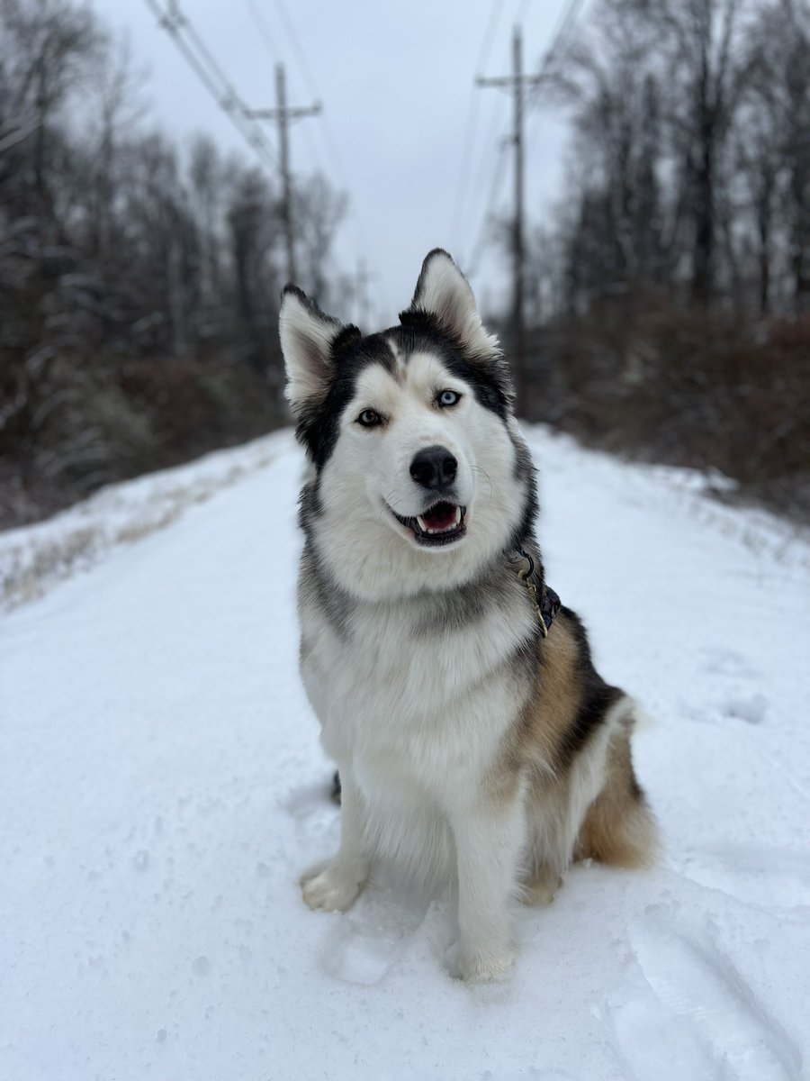 Ms. Mueller tweet media