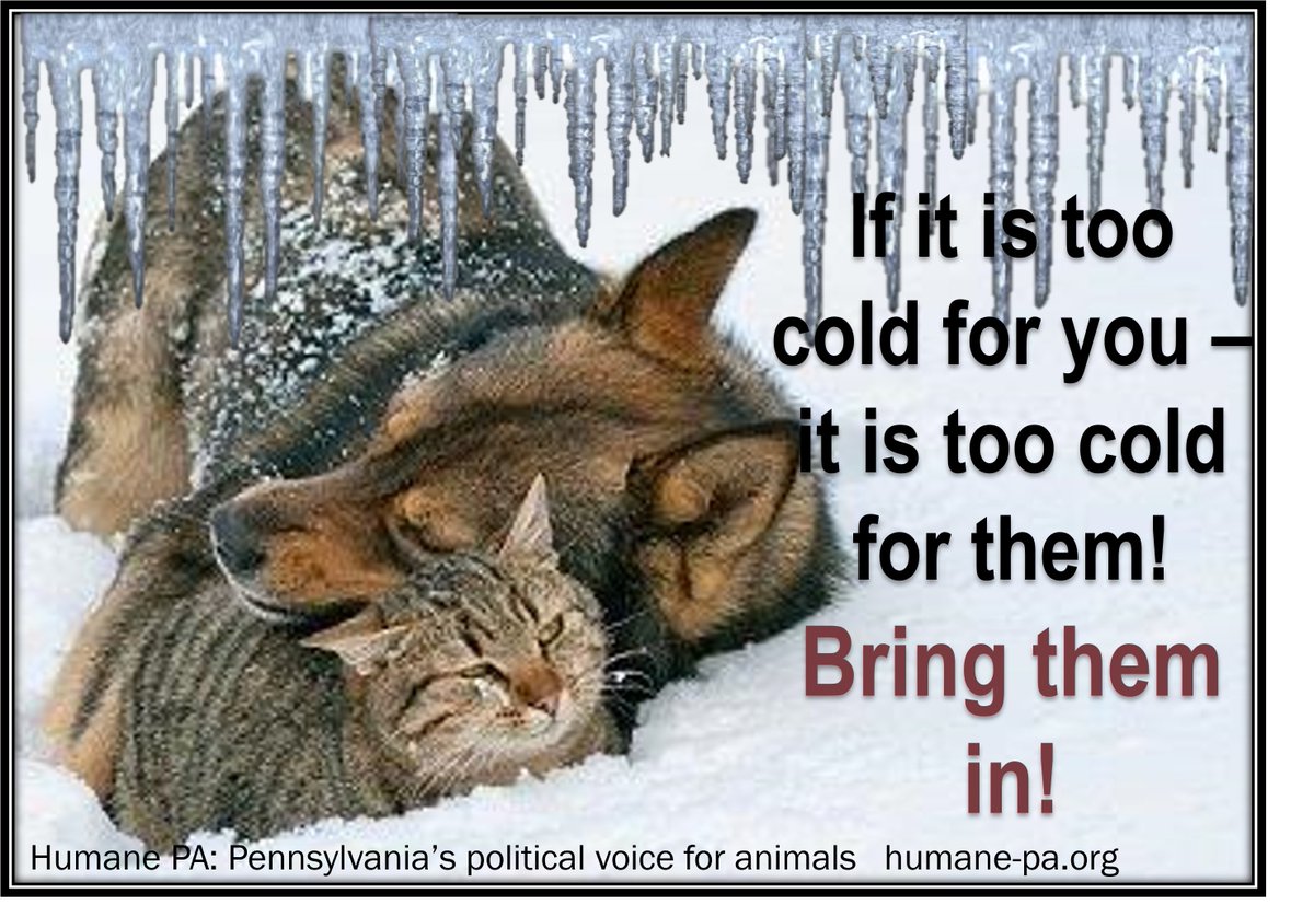 BRR! If it is too cold for you - it is too cold for them! Bring them inside!