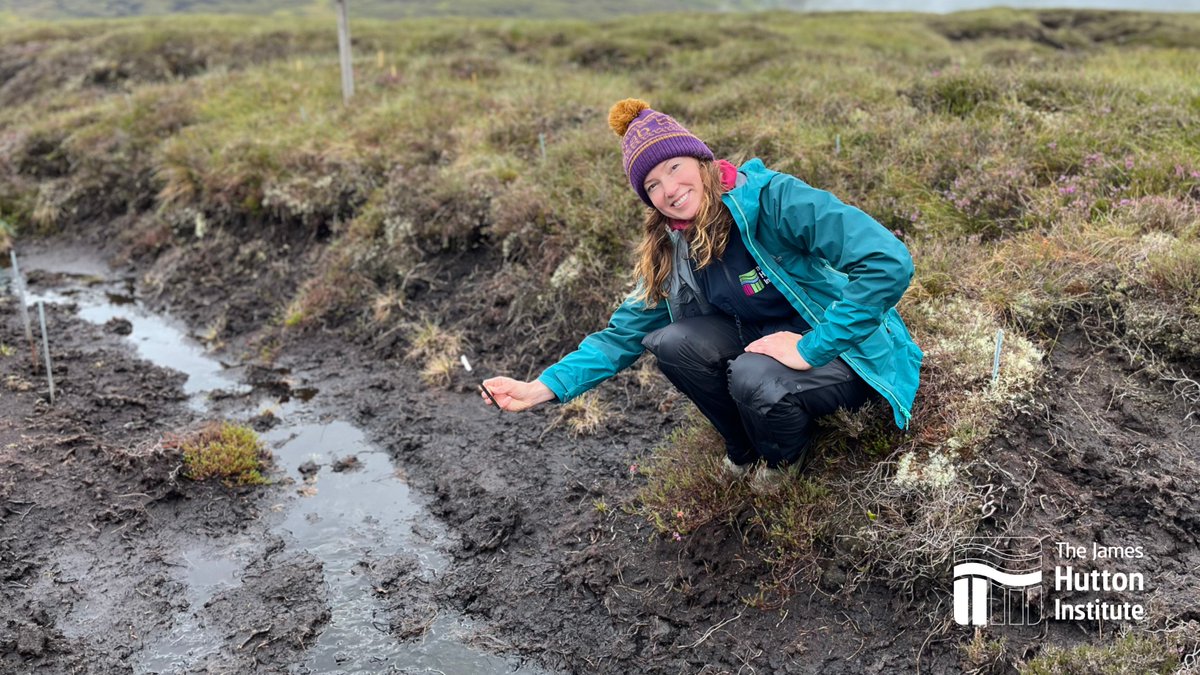 James Hutton Institute (@jameshuttoninst) on Twitter photo Fantastic feature in <a href="/AWEIMagazine/">AWE International</a>, covering the research of <a href="/linda_toca/">Linda Toča</a> from <a href="/HuttonICS/">ICS James Hutton</a>.
Linda's work involves using satellite radar data to monitor water table depth, to help understand the health of our #peatlands.
More: bit.ly/3U2u9l8 Fantastic feature in <a href="/AWEIMagazine/">AWE International</a>, covering the research of <a href="/linda_toca/">Linda Toča</a> from <a href="/HuttonICS/">ICS James Hutton</a>.
Linda's work involves using satellite radar data to monitor water table depth, to help understand the health of our #peatlands.
More: bit.ly/3U2u9l8