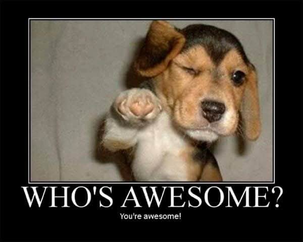 JadeLuv28's tweet photo. Just in case no one told you today! https://t.co/kwKr5DgLJy