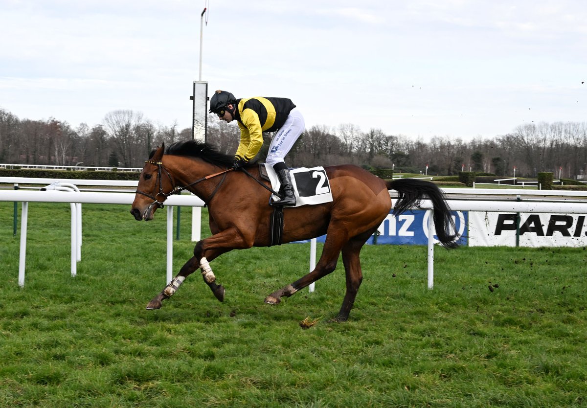 Pour sa 3 sortie sur les balais, PESO DI LEGNO (Masked Marvel <a href="/EtrehamObstacle/">Haras d’Etreham Obstacle</a>) a signé une 2e victoire dans la discipline de l’obstacle dans le Coupe des Anglo-arabes. Entraîné par D. Guillemin, il appartient à Mme Francis Montauban et était monté par <a href="/lestradebertra1/">Bertrand Lestrade</a>.
R. Polin
