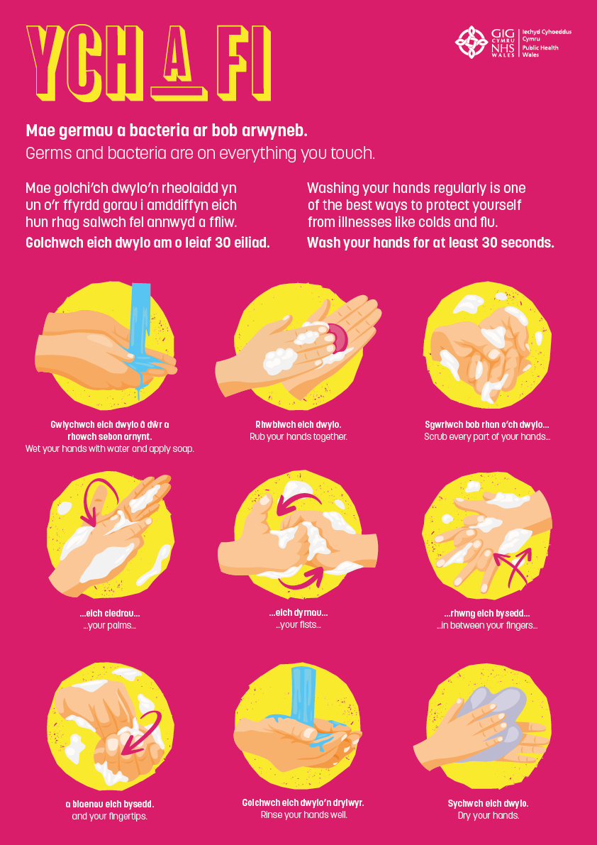 Ysgolion Iach Cered (@ysgoliachcered) on Twitter photo 