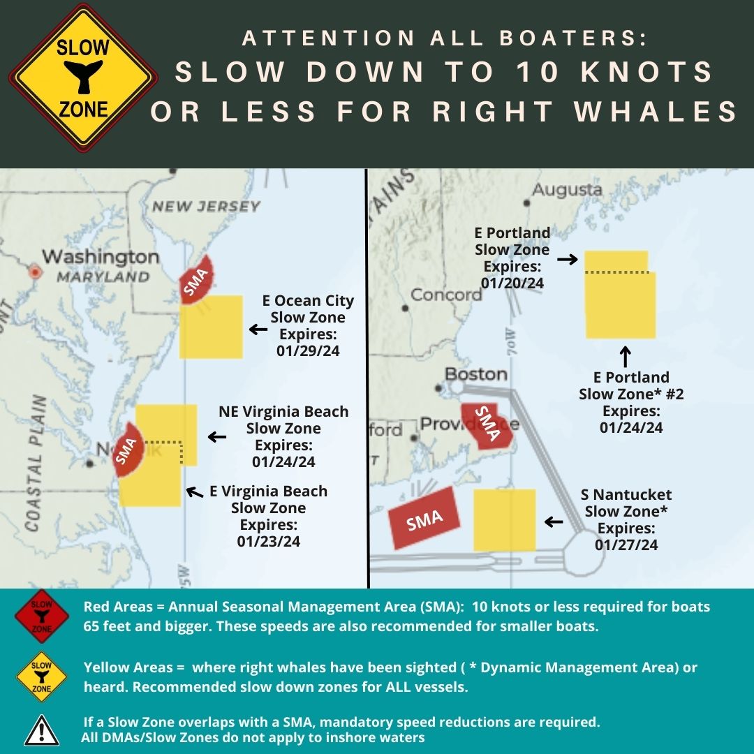 Extension of #RightWhale #SlowZone: E of Ocean City, MD - Effective thru 1/29. Mariners are requested to avoid or transit at 10 kts or less. See map for locations of Slow Zones in effect. Sign up for Slow Zone alerts: ow.ly/o3Qx50QoQ4k