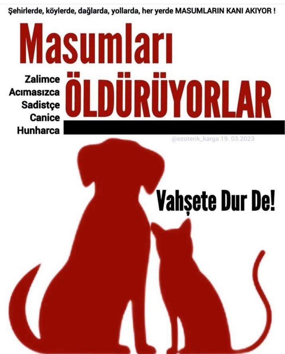 guclusinemm's tweet photo. Topluma hitap eden tüm medya mensuplarına çağrıdır ! 
Nefretle habercilik yapılmaz  bu kirli kin ve nefret kampanyanıza son verin canavarlar yetişiyor toplumda şiddeti normalleştirip büyütüyorsunuz . Hayvana şiddet eziyet şiddetini gün geçtikçe artırıyor  #c31ktutuklansın https://t.co/vUksrevS2o
