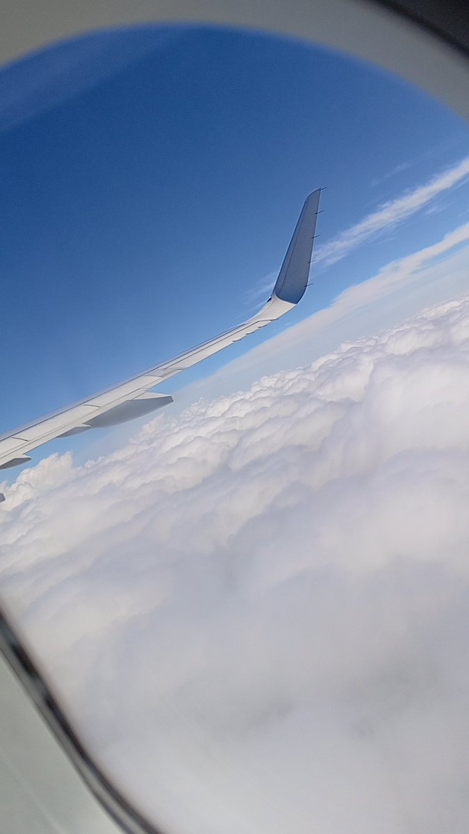 -Blakman : "mort au traîtres, à bas les apatrides"
- Rabi : Blakman, c'est quoi un apatride ?
- Blakman : ce sont les gens qui ne sont pas patriotes comme nous là.
- Rabi : non Blakman, un apatride c'est quelq'un qui n'a pas de pays.
- Blakman : Prrr..!
#Théâtre #Cito
#FakeNews