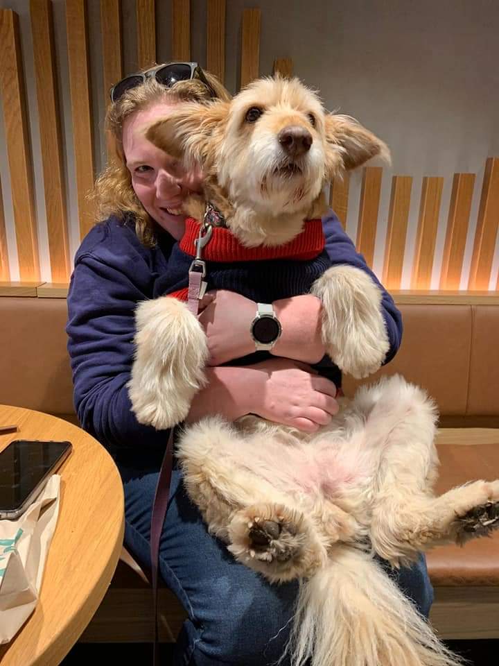 jollux_'s tweet photo. @MaskedSingerUK hi, I'd like to claim copyright infringement of your Rat character on my dog, also known affectionately as Rat. This is a clear violation of her doggy rights and we would like to seek royalties for use of her image in your show. #RatUnmasked #RatIsClearlyKanga https://t.co/ia1dpagt9l