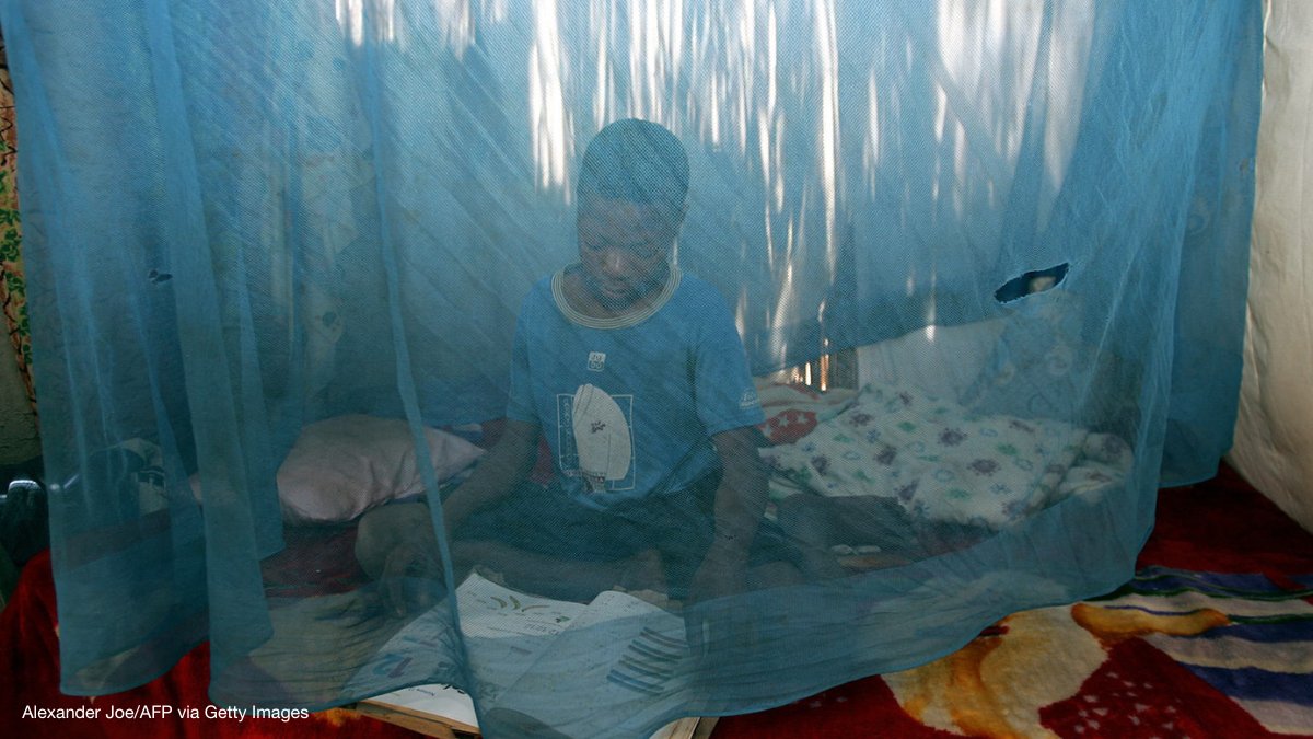 An estimated 68% of malaria cases in sub-Saharan Africa were averted by insecticide-treated bed nets between 2004 and 2019. Learn more about bed nets and other advances in the fight against malaria ⤵️ wellc.me/3VLCXt0