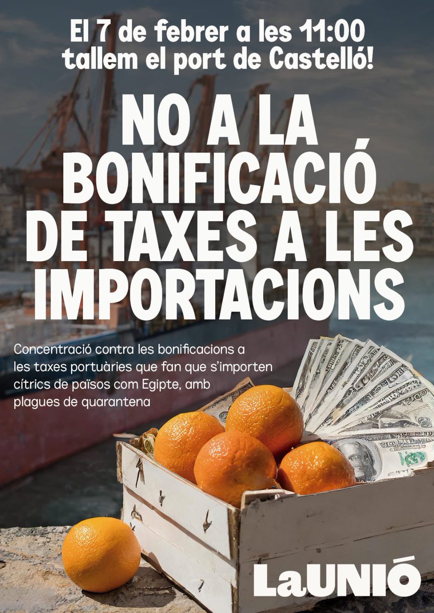 NandoDura's tweet photo. Ala! Qui sen ve el 7 de febrer a tallar el port de Castelló? Tindrem ja contenedors de taronja descarregant ixe mateix dia. Hasta els ous! https://t.co/1ux3sFomtJ