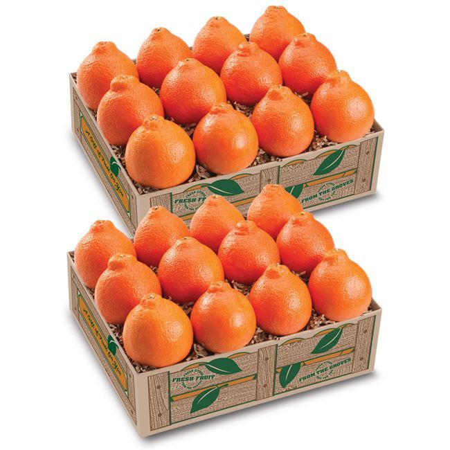 HyattFruitCo's tweet photo. Get Hyatt #Honeybells delivered right to your doorstep with the utmost convenience and freshness. With our reliable delivery service via #UPS, you can enjoy the premium quality of these citrus fruits without hassle.

Find our #Honeybell selection here: https://t.co/kbDIHMScYv https://t.co/E3oYxkphla