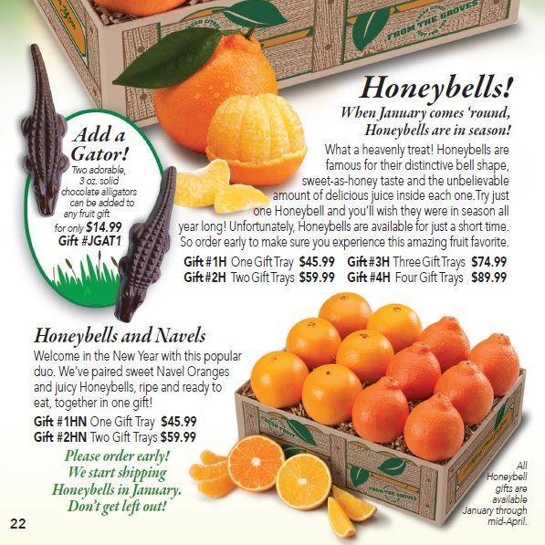 HyattFruitCo's tweet photo. Get Hyatt #Honeybells delivered right to your doorstep with the utmost convenience and freshness. With our reliable delivery service via #UPS, you can enjoy the premium quality of these citrus fruits without hassle.

Find our #Honeybell selection here: https://t.co/kbDIHMScYv https://t.co/E3oYxkphla