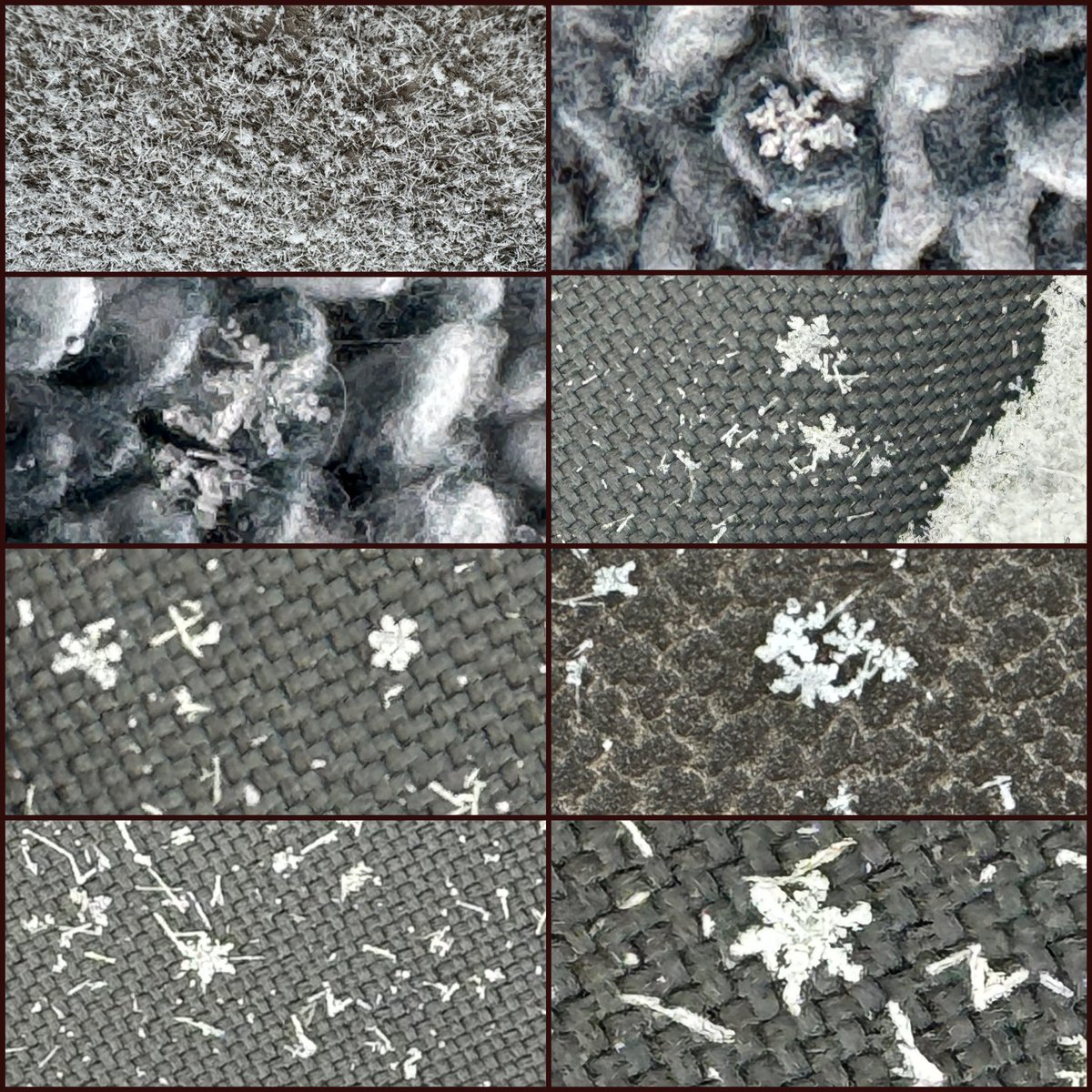 jillgilardi's tweet image. Needles and dendrites ❄️ falling outside! #cloudphysics