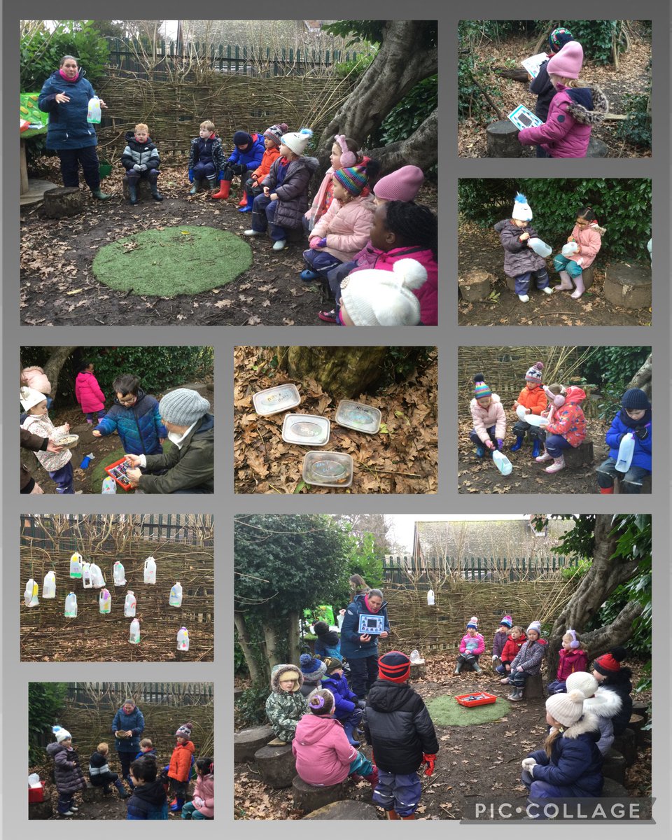 Our Year 1 Owls class have been learning about birds in their Forest School lesson.