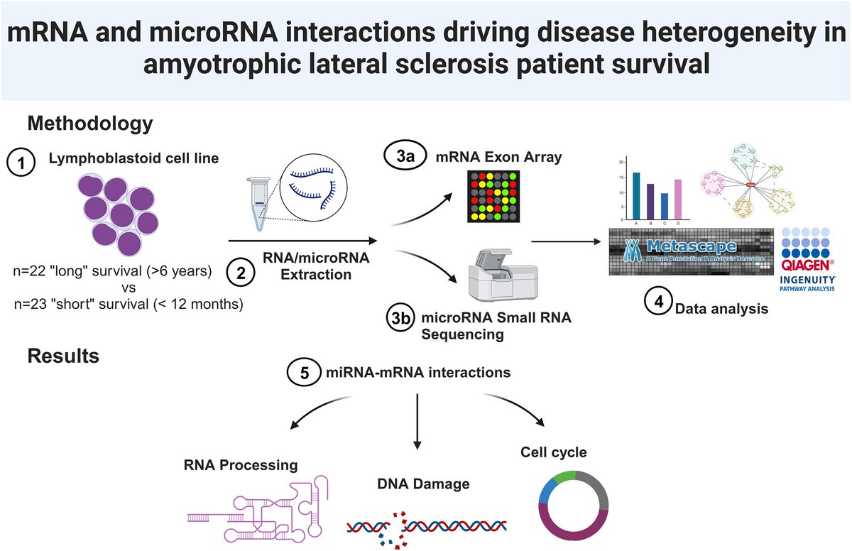 braincomms's tweet image. Waller et al. report alterations driving disease heterogeneity in #ALS patient survival as evidenced in interacting mRNA and microRNA. @J9Kirby @Rwaller1988 @AmmarAlChalabi @neuroshef shorturl.at/oyF46