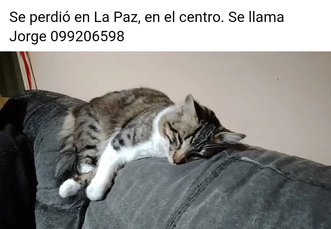 Por favor, difundir!