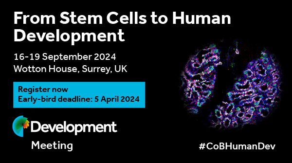 2024 marks ten years since the first of our meetings on 'From Stem Cells to Human Development'. Registration is now open to join us at September's meeting, organised by James Briscoe @briscoejames, Olivier Pourquié & Emma Rawlins @LabRawlins. biologists.com/meetings/human… #CoBHumanDev