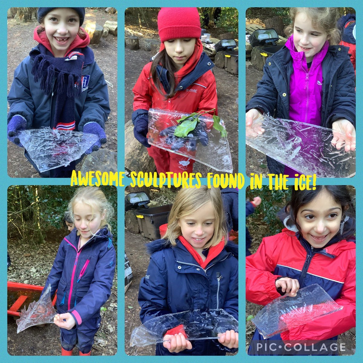 THSch_OutdoorLearning tweet media