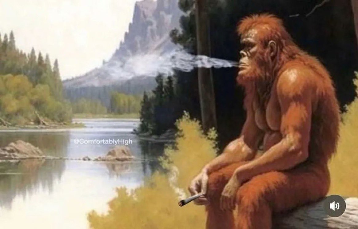 When you hit the blunt and start thinking about evolution and shit