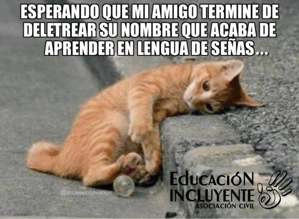 Educación Incluyente tweet media