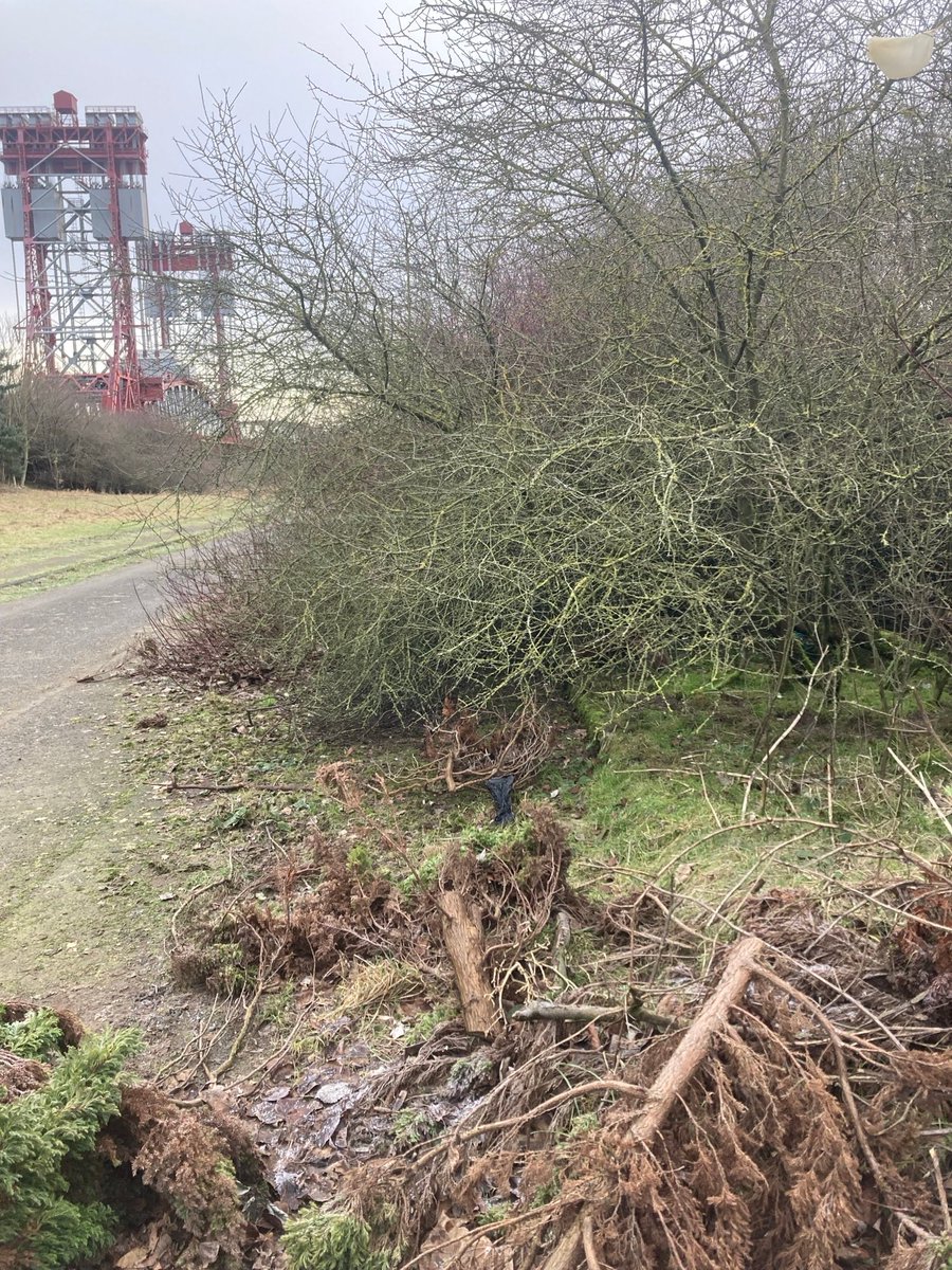 NEPS_Payback's tweet photo. What an amazing difference people on Probation have made at Newport Bridge! 

Great work, well done to all involved 👏

#CommunityPayback #ProbationNorthEast https://t.co/LwKf4YlAmb