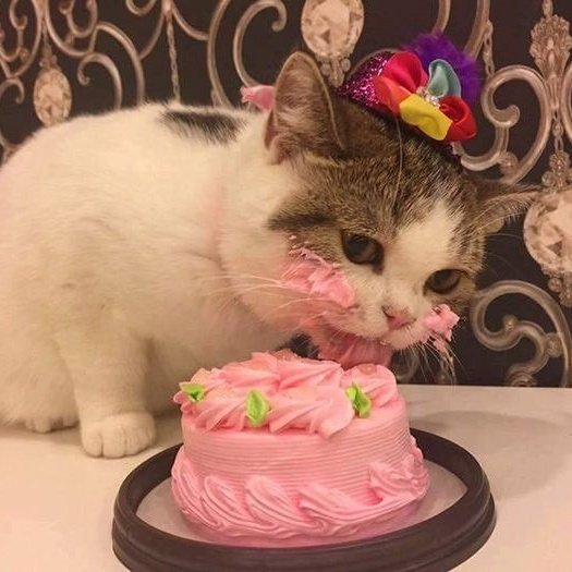 🎂

#新田真剣佑 ＃Mackenyu