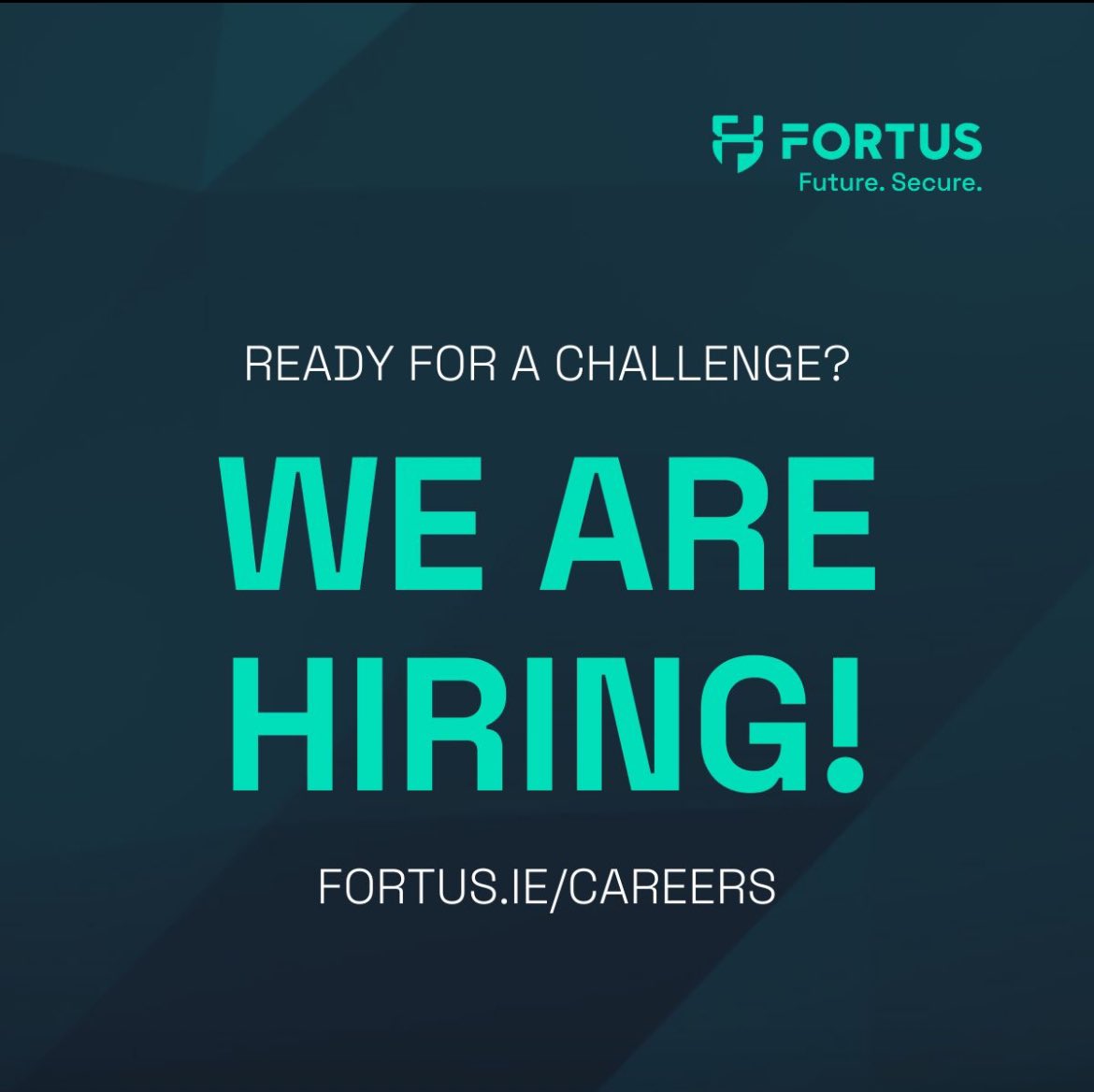 WE ARE HIRING 📢 Would you like to be part of our future secure team? 🙌 Check out our job vacancies at ➡ fortus.ie/careers #FutureSecure #SecurityIndustry #Hiring #JobOpportunity #JobFairy #Careers #Recruiting