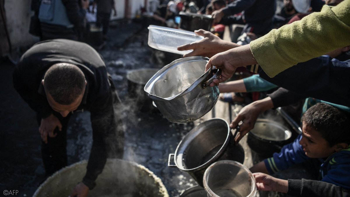UN experts warn Gazans now constitute 80% of those facing famine worldwide, amid ongoing Israeli bombardment & siege. “#Israel is destroying & blocking access to farmlands and the sea & using food as a weapon against the #Palestinian people.” #Gaza ow.ly/iN0y50QrkM3