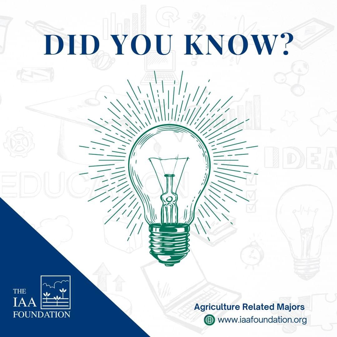 IAA Foundation tweet media