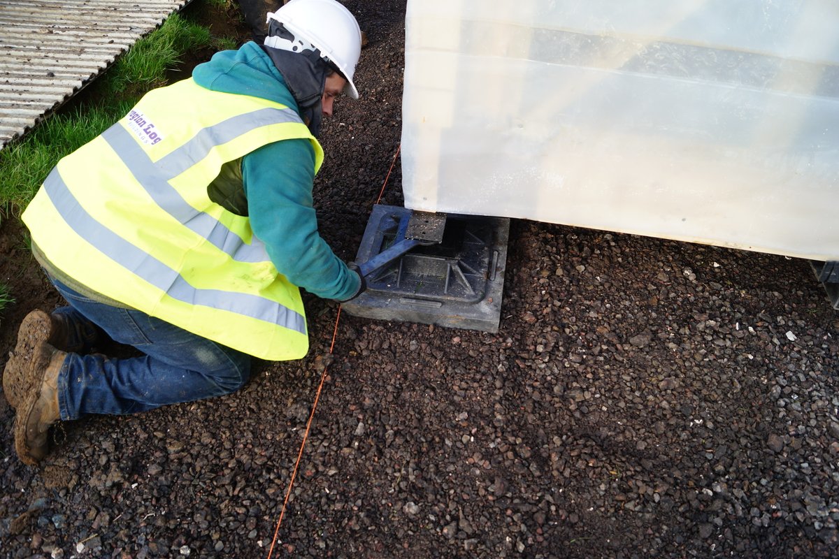 Norwegian Log tweet media