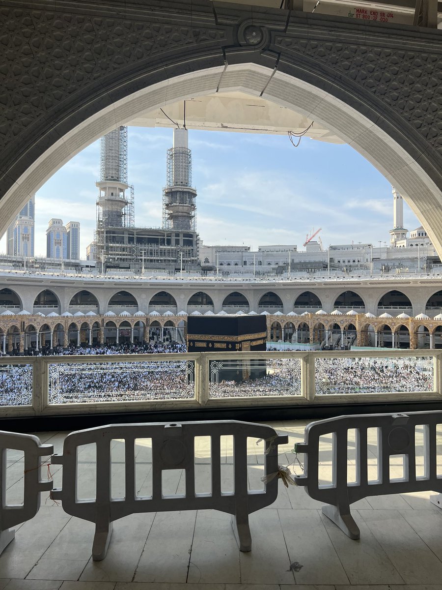 مايد بن يوسف tweet media