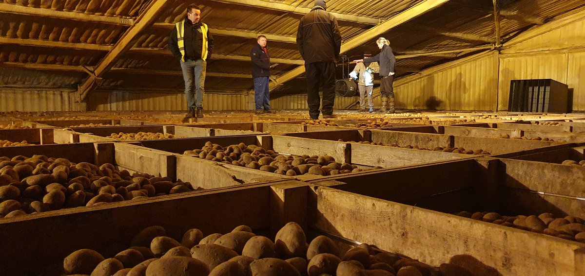 Olaf van Campen tweet media