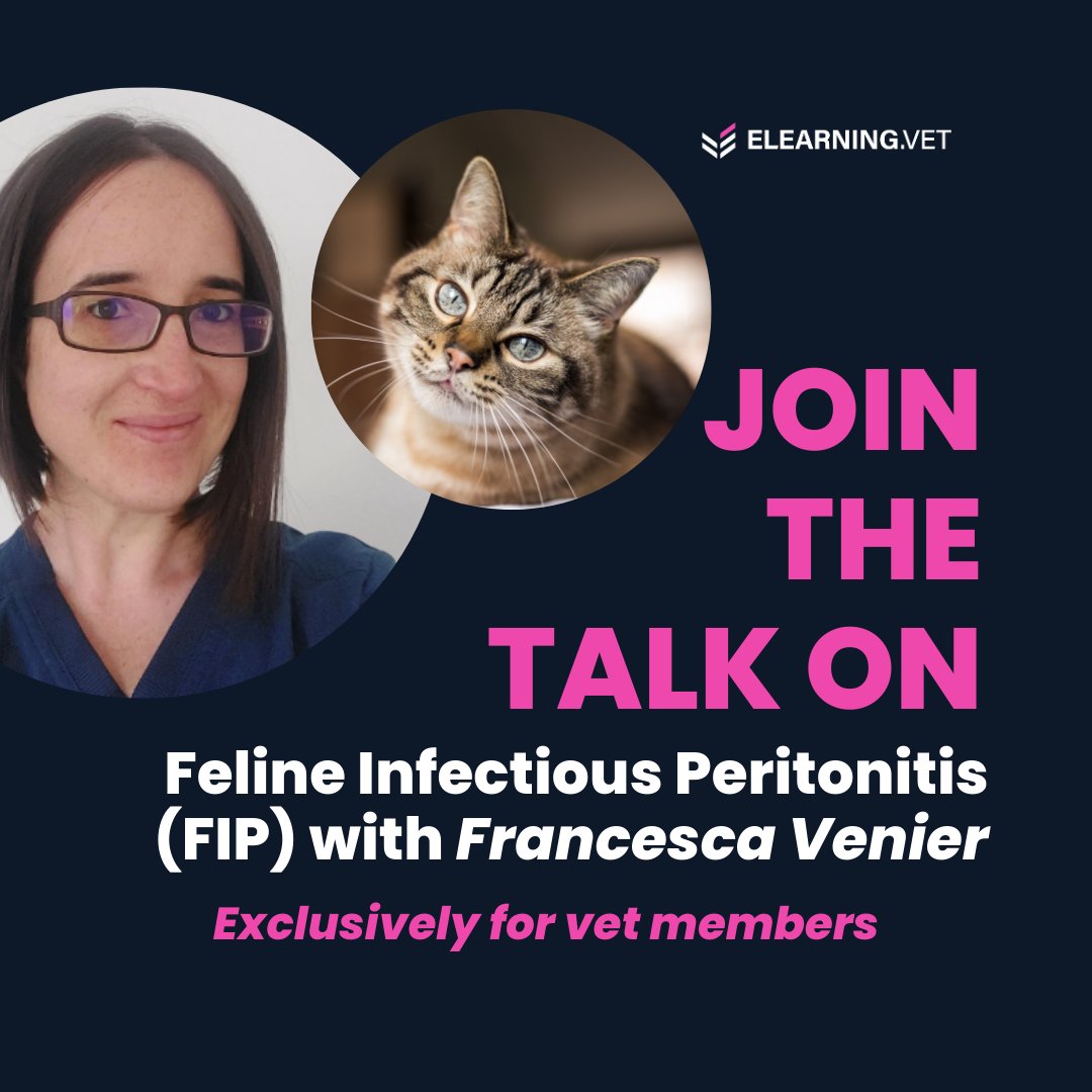 ElearningV's tweet image. Coming up on Thursday... 🐱 Feline Infectious - old challenges and new hopes with  Francesca Venier, a distinguished European and RCVS-Recognized Specialist in Small Animal Internal Medicine. 

🔗 Not a Vet Member yet? Learn More About Vet Membership: i.mtr.cool/lmerypogvq