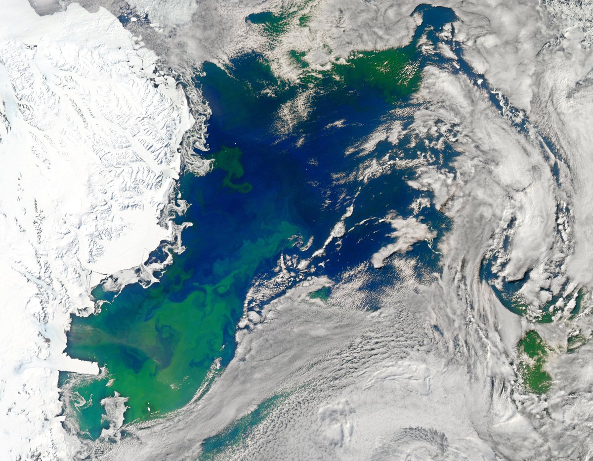 NASA tweet media
