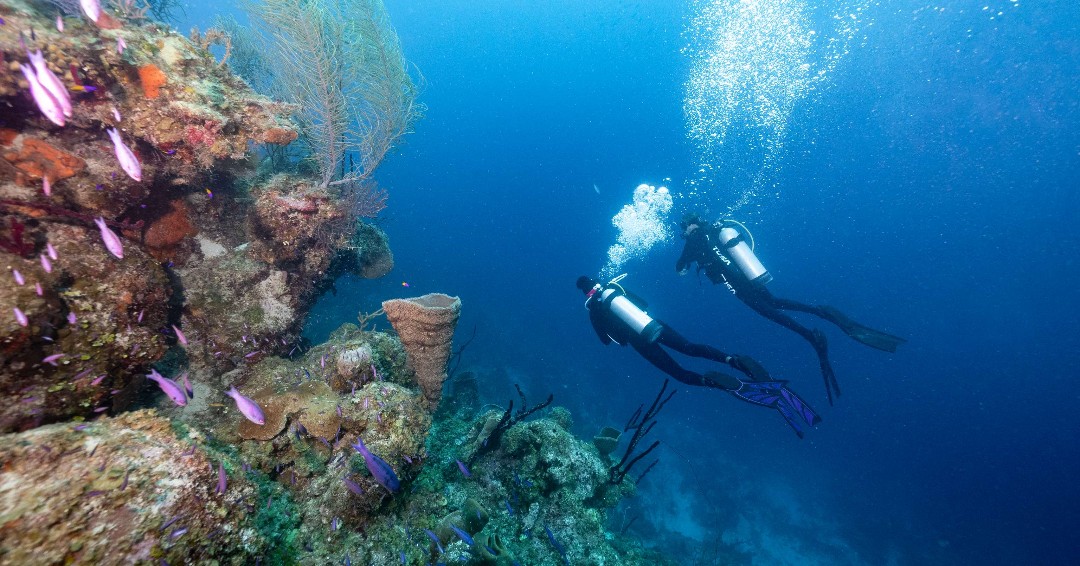 TUSADiving's tweet photo. Just the two of us💞  (And a few fish friends)

...

#TUSA #TeamTUSA #underwater #scubadiving #belize #divebelize https://t.co/BXC7p2Kk0H
