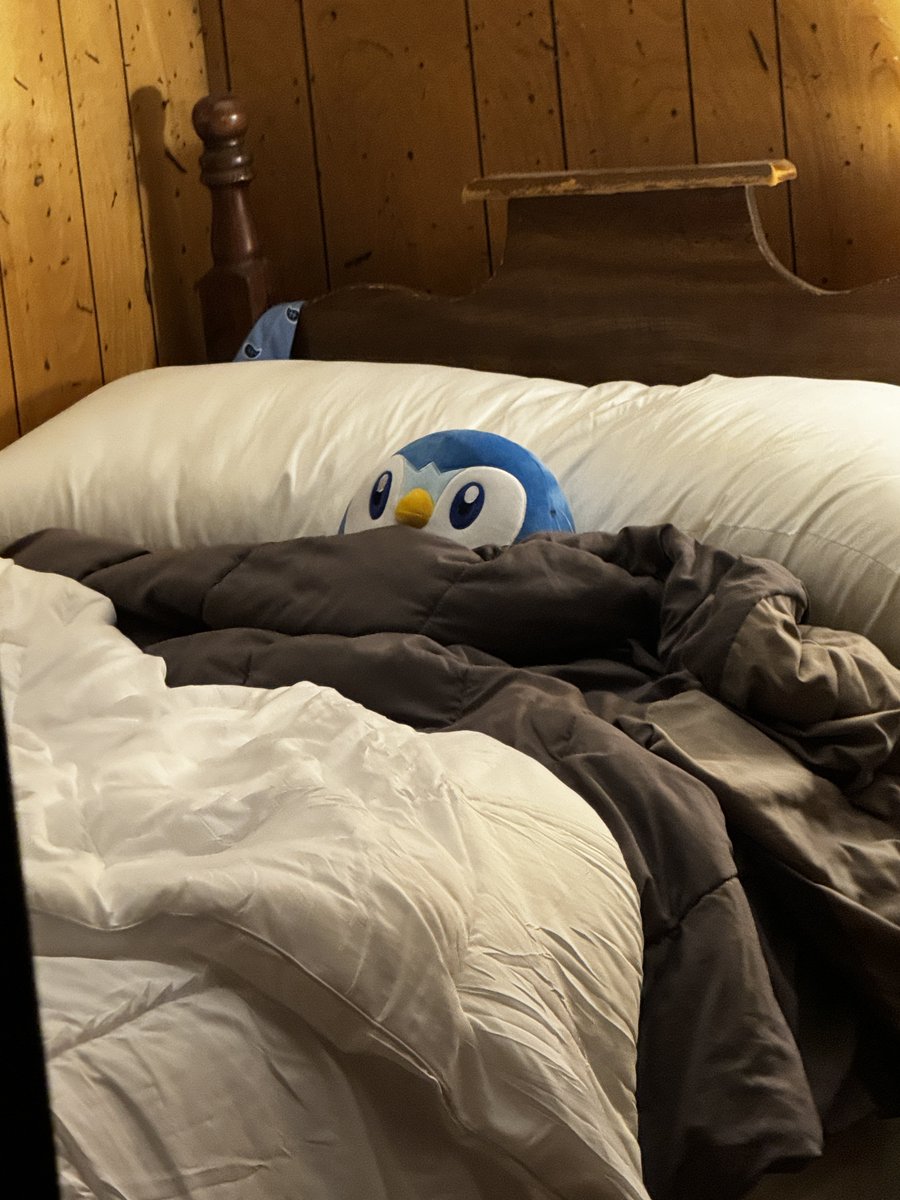 pipluphaver's tweet photo. rise and grind😤 https://t.co/yLy3S77ZTm