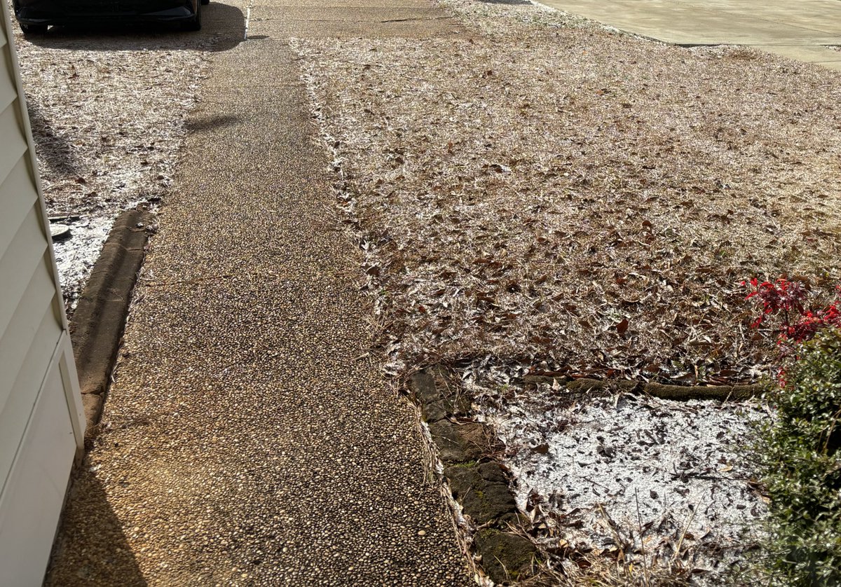 Nick Kelly tweet media