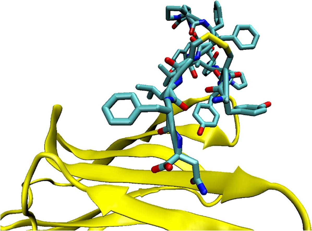 Weill Cornell Medicine Radiology (@wcmradiology) on Twitter photo 📝In 'Bioorganic & Medicinal Chemistry Letters,' the work of S. Abdel-Rahman, L. Calvo-Barreiro, & <a href="/MT_Gabr/">Moustafa Gabr</a> lays the groundwork for future #cancer drug discovery endeavors, with the goal of developing cyclic peptides targeting the ICOS/ICOSL interaction. sciencedirect.com/science/articl… 📝In 'Bioorganic & Medicinal Chemistry Letters,' the work of S. Abdel-Rahman, L. Calvo-Barreiro, & <a href="/MT_Gabr/">Moustafa Gabr</a> lays the groundwork for future #cancer drug discovery endeavors, with the goal of developing cyclic peptides targeting the ICOS/ICOSL interaction. sciencedirect.com/science/articl…