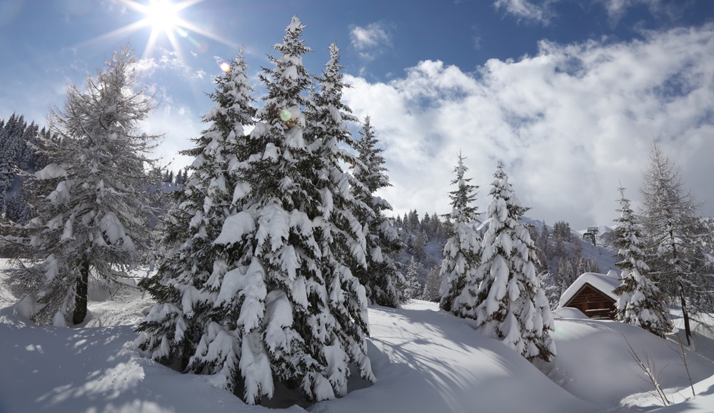 Agendaviaggi's tweet photo. Vacanza slow tra i magici scenari innevati della Carnia
#experience #ciapsolate #winter #carnia #experience #montagnafriulana #fvglife #fvglive #fvgphotography #fvg, #fvgexperience #mountains #trekking #carnia #nature #mountains
https://t.co/vt8hMRCa3T
Ph. Visit Zoncolan https://t.co/yxgjsGZJe1