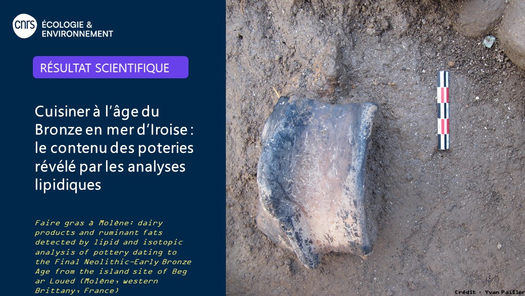 CNRSecologie's tweet photo. #RésultatScientifique 🔎

🏺🥘 Les lipides piégés dans les céramiques nous renseignent sur les pratiques culinaires au début de l'âge de Bronze sur une île bretonne.
Résultat : les poteries étaient réservées à la viande et aux produits laitiers.

▶️https://t.co/1kF6xYCo2v https://t.co/dqe5XVFNbD