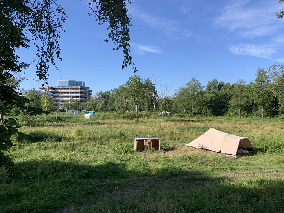 Floor Gordon tweet media