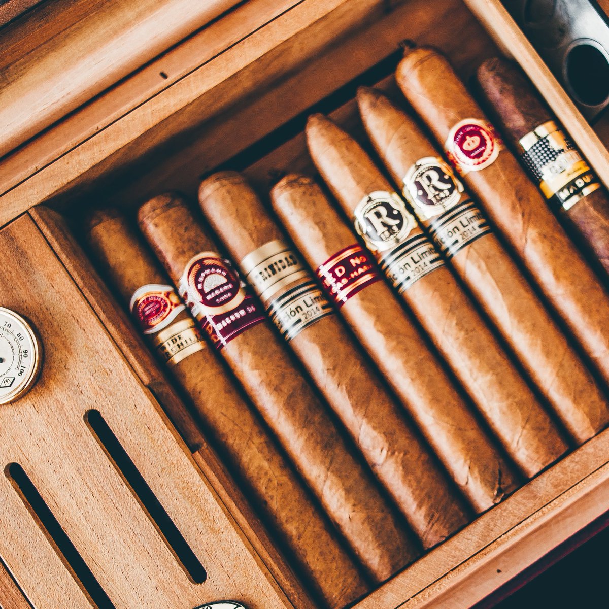 TheDarling58353's tweet photo. Braving the cold? Ignite warmth with a cigar and a splash of whiskey.
#winterwarmth #cigar #whiskey #thedarlinghouse #winter #staywarm #gentlemansbox https://t.co/E7QeRkFxuh