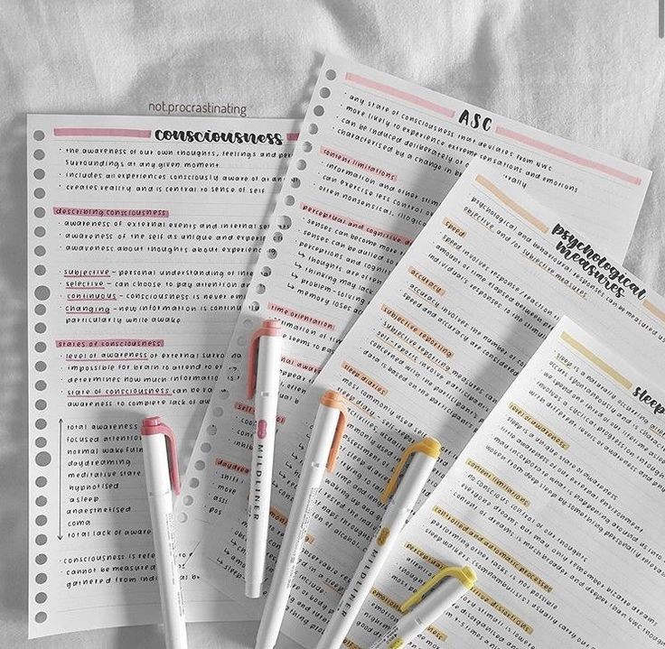 estudanicki's tweet image. ☆ COMUNIDADE DE ESTUDOS . . .

criei uma comunidade no wpp para que possamos socializar sobre assuntos diversos. para entrar:

• me seguir;
• fav e rt nesse post;
• comentar in;
• deixar dm aberta.

#studytwtbr #studytwt