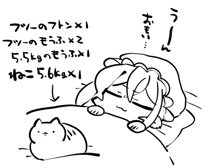 こなの睡眠環境です。おやすみなさい🛏️🐈