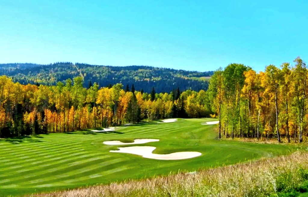 Chris Prodahl tweet media