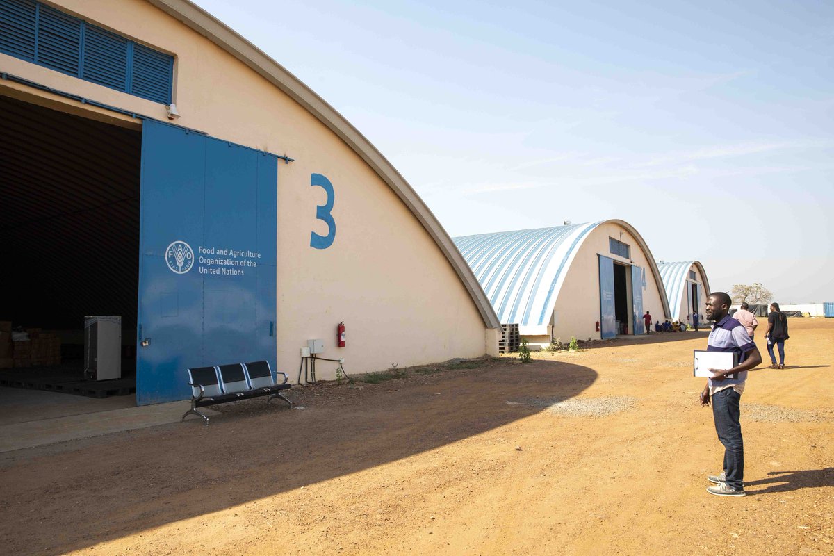 FAOSouthSudan's tweet photo. Looking ahead to the main season cultivation, our logistics teams at Juba Central Warehouse are conducting thorough inspections and inventory checks for inputs &amp; farming equipment to ensure only suitable items are distributed.

Planning in advance is key for a successful harvest. https://t.co/j9TepIOuBV